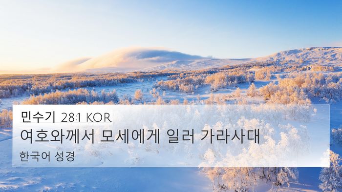 민수기 28:1 KOR Bible Verse Image