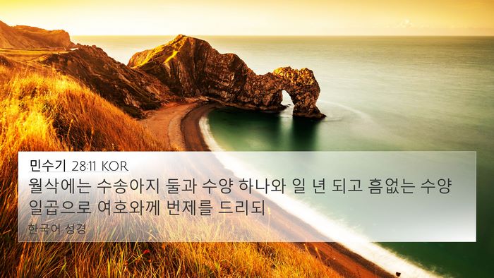 민수기 28:11 KOR Bible Verse Image