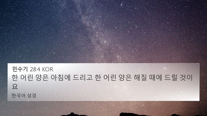 민수기 28:4 KOR 4K Wallpaper - 한 어린 양은 아침에 드리고 한 어린 - 4K Wallpaper Bible Verse
