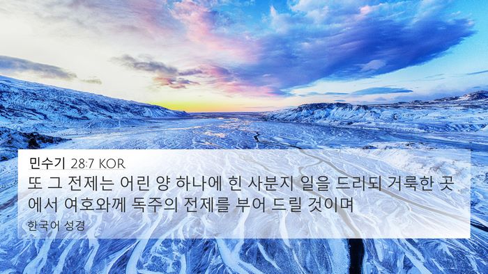 민수기 28:7 KOR Bible Verse Image