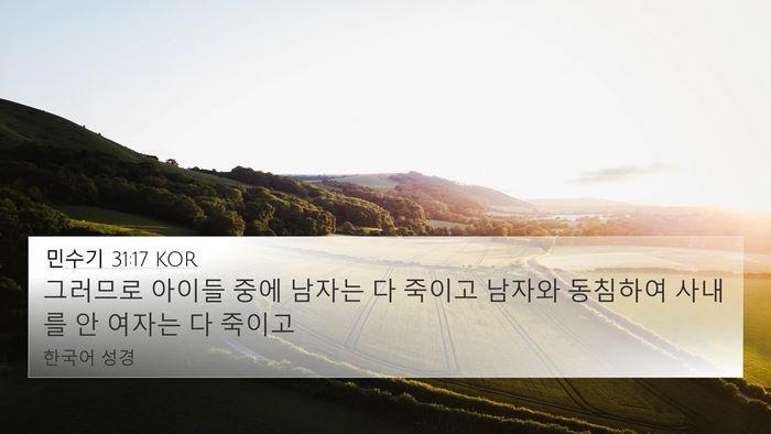 민수기 31:17 KOR Bible Verse Image