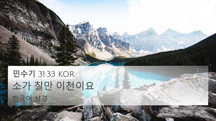 민수기 31:33 KOR 4K Wallpaper - 소가 칠만 - 4K Wallpaper Bible Verse