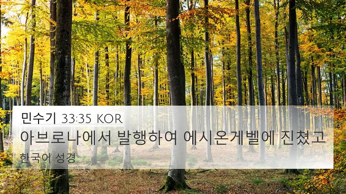 민수기 33:35 KOR 4K Wallpaper - 아브로나에서 발행하여 - 4K Wallpaper Bible Verse
