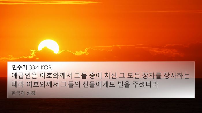 민수기 33:4 KOR Bible Verse Image
