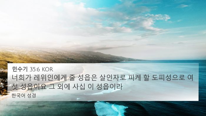 민수기 35:6 KOR Bible Verse Image