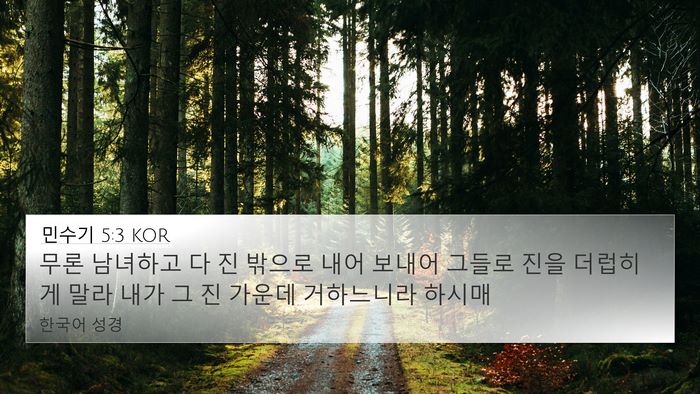 민수기 5:3 KOR 4K Wallpaper - 무론 남녀하고 다 진 밖으로 내어 - 4K Wallpaper Bible Verse