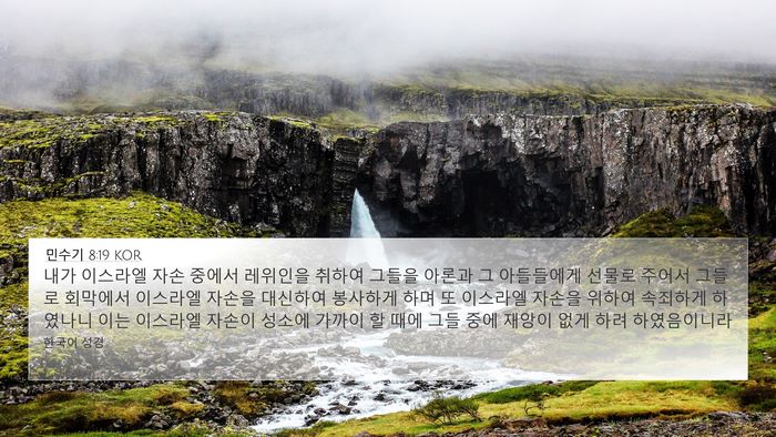 민수기 8:19 KOR Bible Verse Image