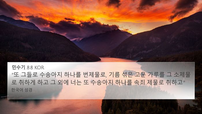 민수기 8:8 KOR Bible Verse Image