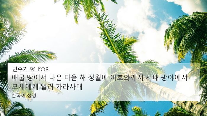 민수기 9:1 KOR Bible Verse Image