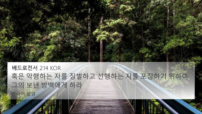 베드로전서 2:14 KOR 4K Wallpaper - 혹은 악행하는 자를 징벌하고 - 4K Wallpaper Bible Verse