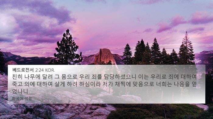 베드로전서 2:24 KOR Bible Verse Image