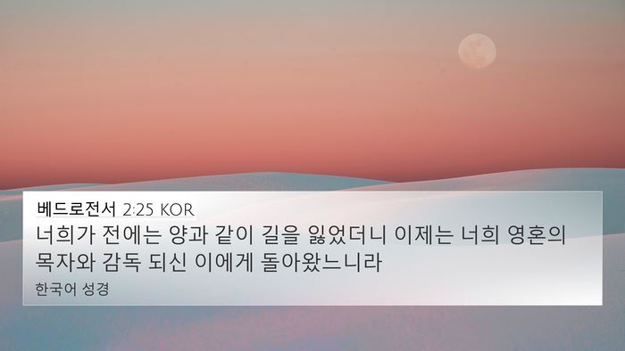 베드로전서 2:25 KOR Bible Verse Image