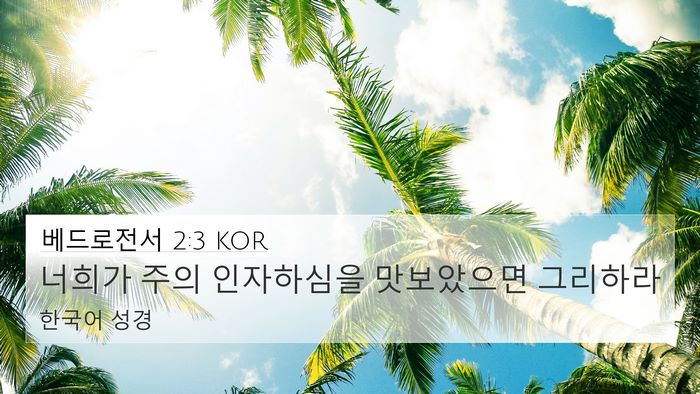 베드로전서 2:3 KOR Bible Verse Image