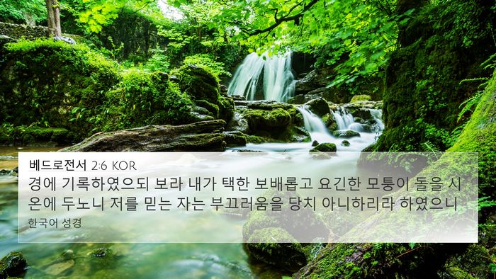 베드로전서 2:6 KOR Bible Verse Image