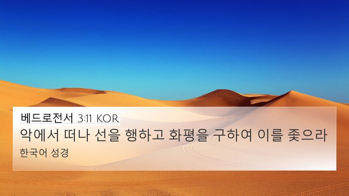 베드로전서 3:11 KOR 4K Wallpaper - 악에서 떠나 선을 행하고 화평을 - 4K Wallpaper Bible Verse
