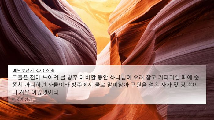 베드로전서 3:20 KOR Bible Verse Image