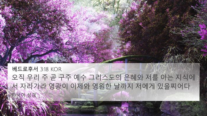 베드로후서 3:18 KOR Bible Verse Image