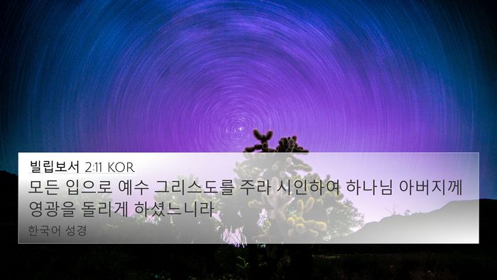 빌립보서 2:11 KOR Bible Verse Image