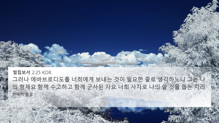 빌립보서 2:25 KOR Bible Verse Image