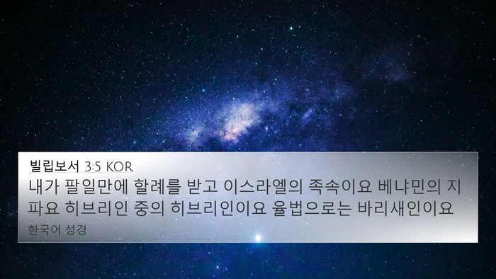 빌립보서 3:5 KOR Bible Verse Image