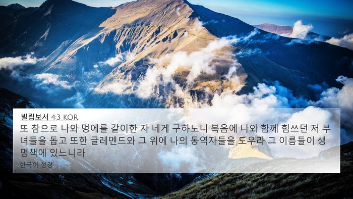 빌립보서 4:3 KOR Bible Verse Image