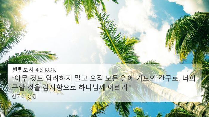빌립보서 4:6 KOR Bible Verse Image