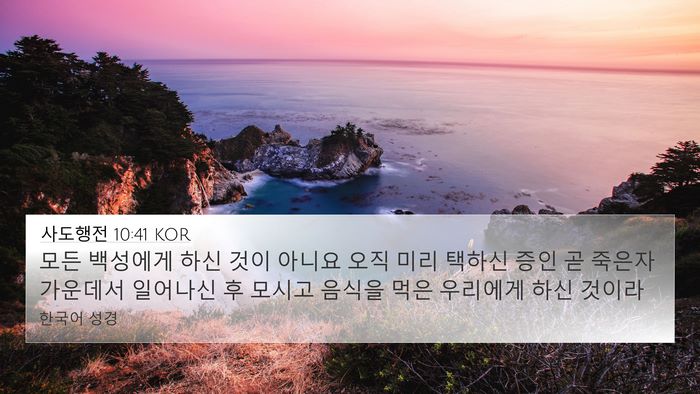 사도행전 10:41 KOR Bible Verse Image