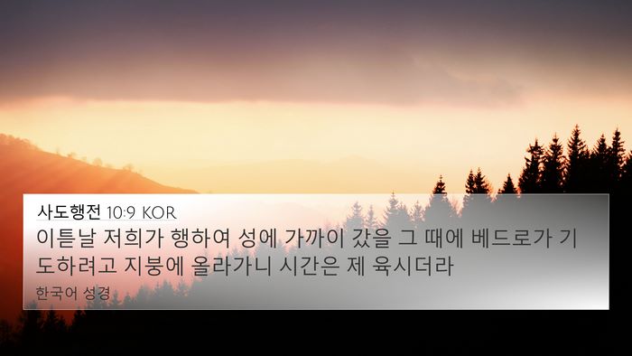 사도행전 10:9 KOR Bible Verse Image