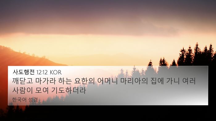 사도행전 12:12 KOR Bible Verse Image