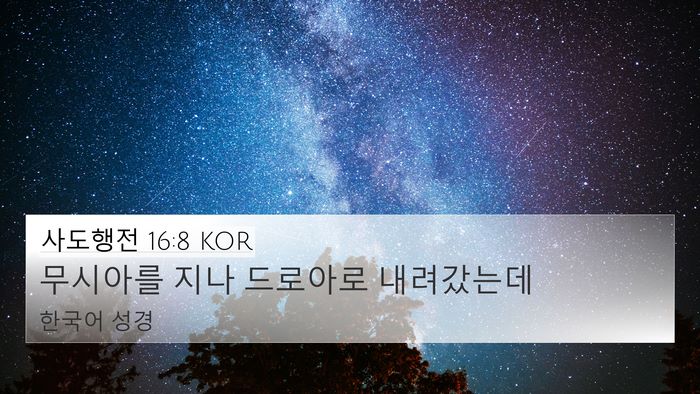 사도행전 16:8 KOR Bible Verse Image