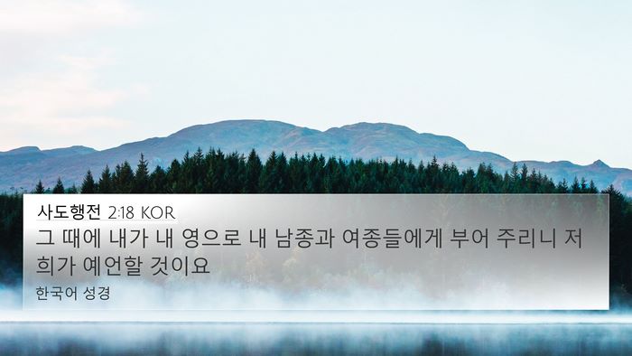 사도행전 2:18 KOR 4K Wallpaper - 그 때에 내가 내 영으로 내 남종과 - 4K Wallpaper Bible Verse