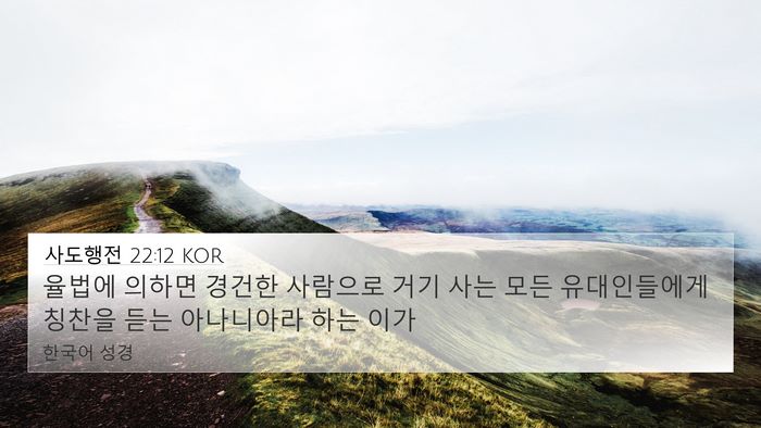 사도행전 22:12 KOR Bible Verse Image