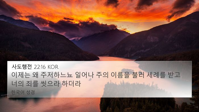 사도행전 22:16 KOR Bible Verse Image