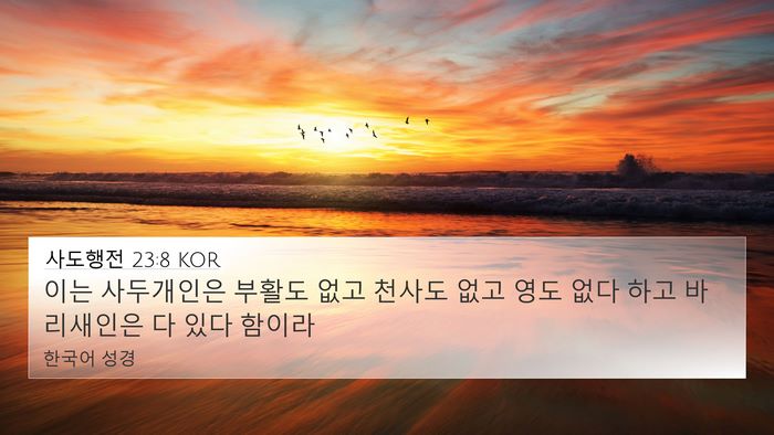 사도행전 23:8 KOR 4K Wallpaper - 이는 사두개인은 부활도 없고 천사도 - 4K Wallpaper Bible Verse