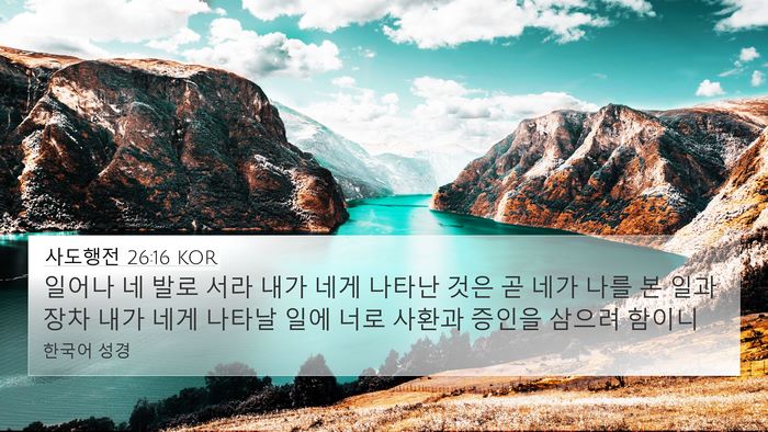사도행전 26:16 KOR Bible Verse Image