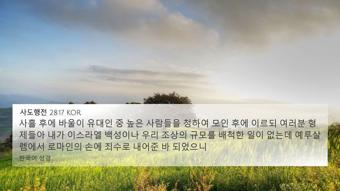 사도행전 28:17 KOR Bible Verse Image