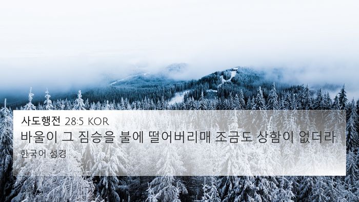 사도행전 28:5 KOR Bible Verse Image