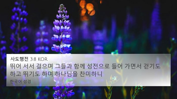 사도행전 3:8 KOR 4K Wallpaper - 뛰어 서서 걸으며 그들과 함께 - 4K Wallpaper Bible Verse