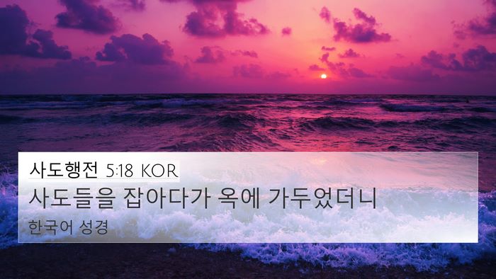 사도행전 5:18 KOR Bible Verse Image