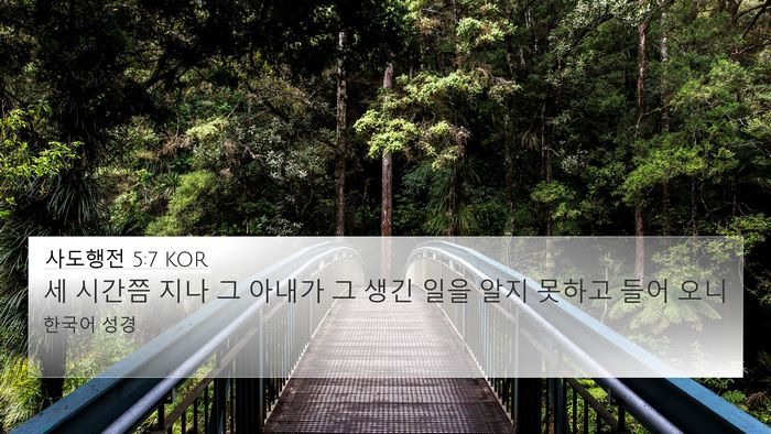사도행전 5:7 KOR 4K Wallpaper - 세 시간쯤 지나 그 아내가 그 생긴 - 4K Wallpaper Bible Verse