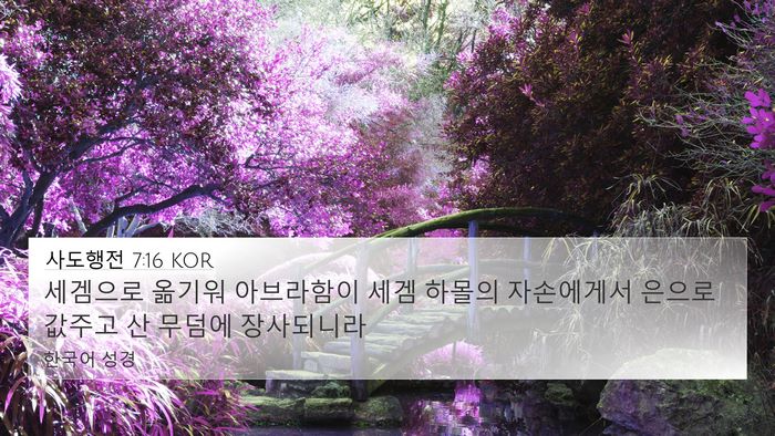 사도행전 7:16 KOR Bible Verse Image