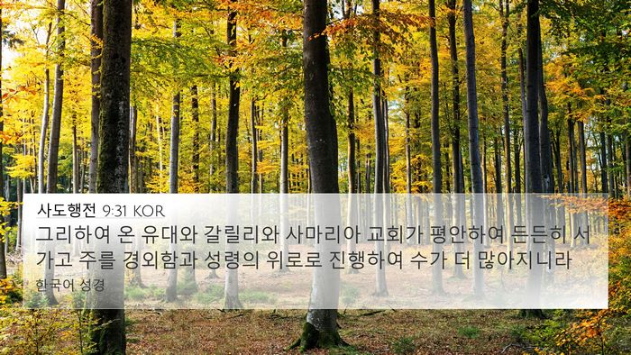 사도행전 9:31 KOR Bible Verse Image