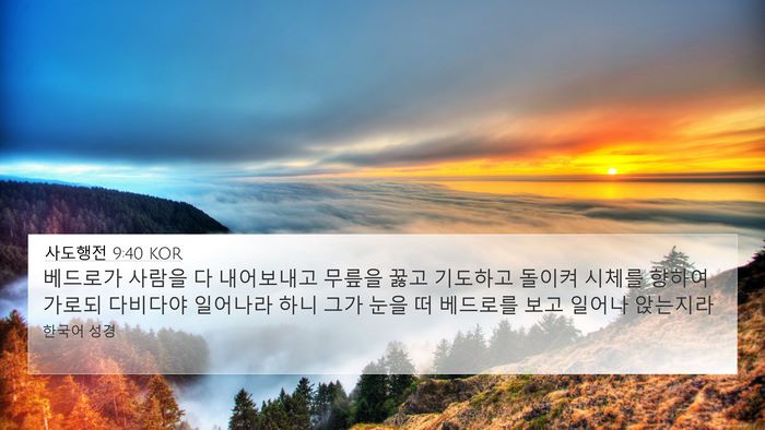 사도행전 9:40 KOR Bible Verse Image