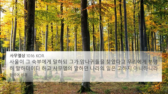 사무엘상 10:16 KOR Bible Verse Image
