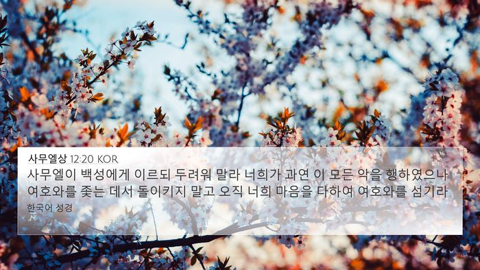 사무엘상 12:20 KOR Bible Verse Image