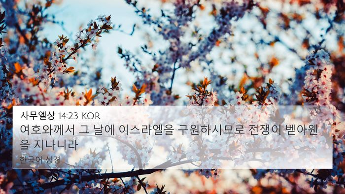 사무엘상 14:23 KOR Bible Verse Image