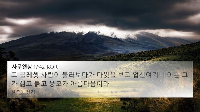 사무엘상 17:42 KOR Bible Verse Image