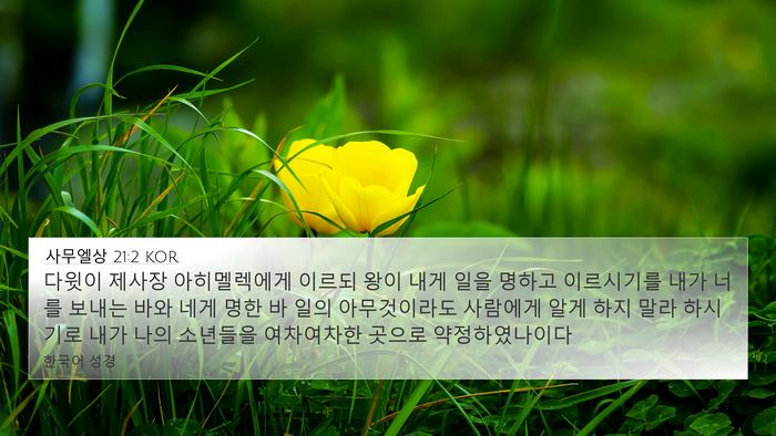 사무엘상 21:2 KOR 4K Wallpaper - 다윗이 제사장 아히멜렉에게 이르되 - 4K Wallpaper Bible Verse