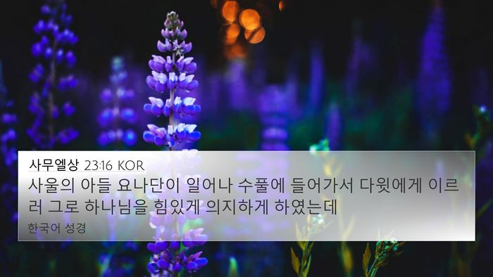 사무엘상 23:16 KOR Bible Verse Image