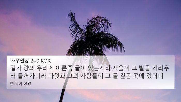 사무엘상 24:3 KOR Bible Verse Image
